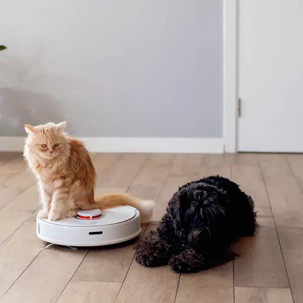 Los 5 mejores robots aspiradores para mascotas: con cabezales, cepillos y accesorios para aspirar el pelo animal