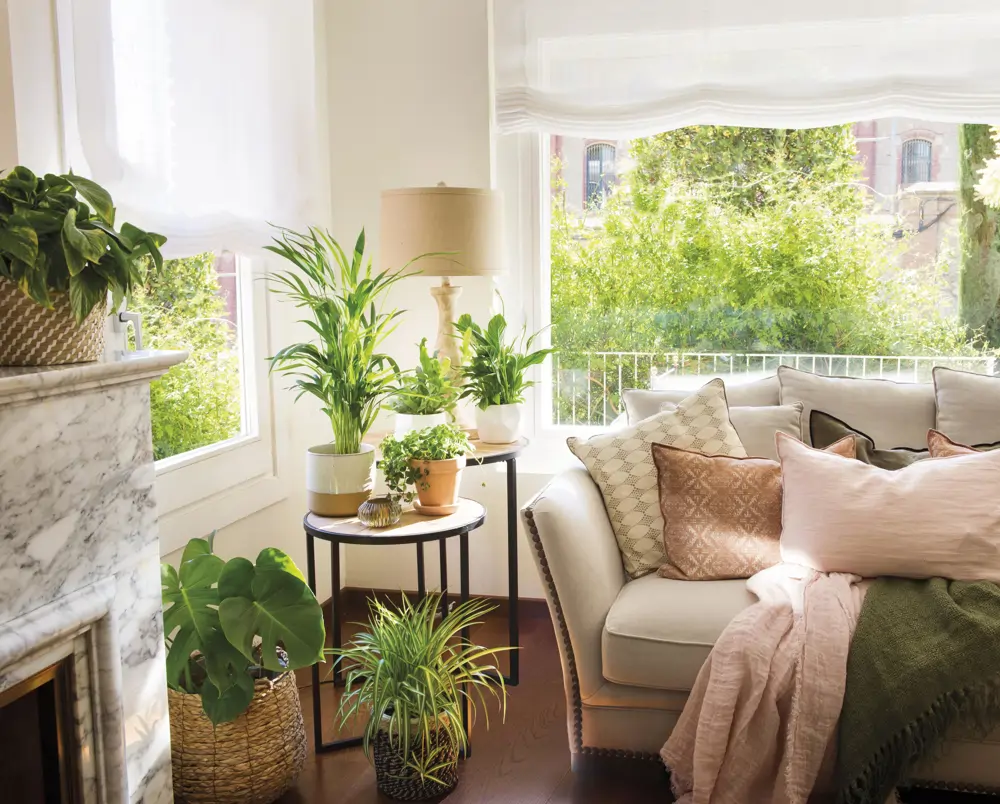 salón con plantas de interior en mesas auxiliares