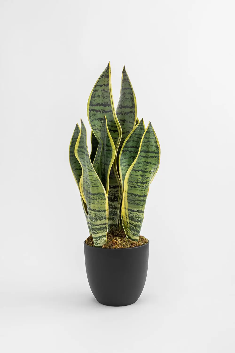 Planta artificial decorativa sansevieria.