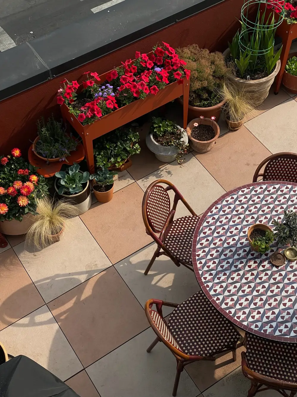 Después: una terraza llena de vida y muy colorida