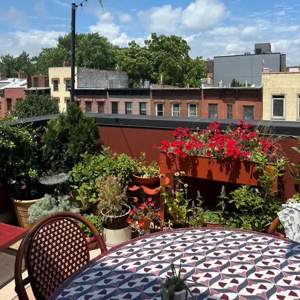 Antes y después: de terraza sin vida y desolada a un pequeño paraíso lleno de plantas, color y calidez