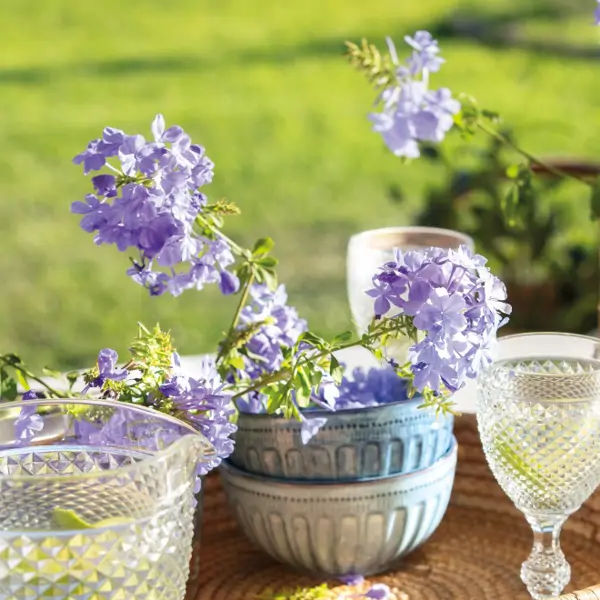 10 plantas con flores lilas perfectas para alegrar tu jardín o tu terraza esta primavera