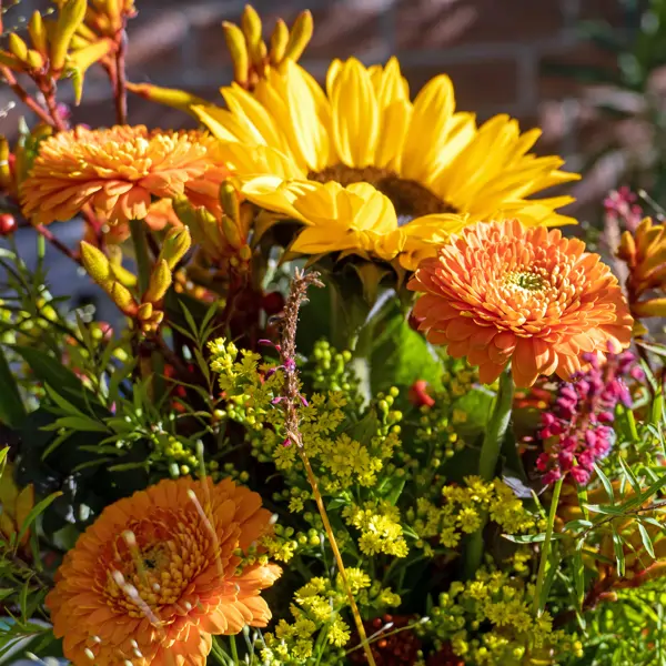 6 flores de otoño para darle color al jardín en esta época del año