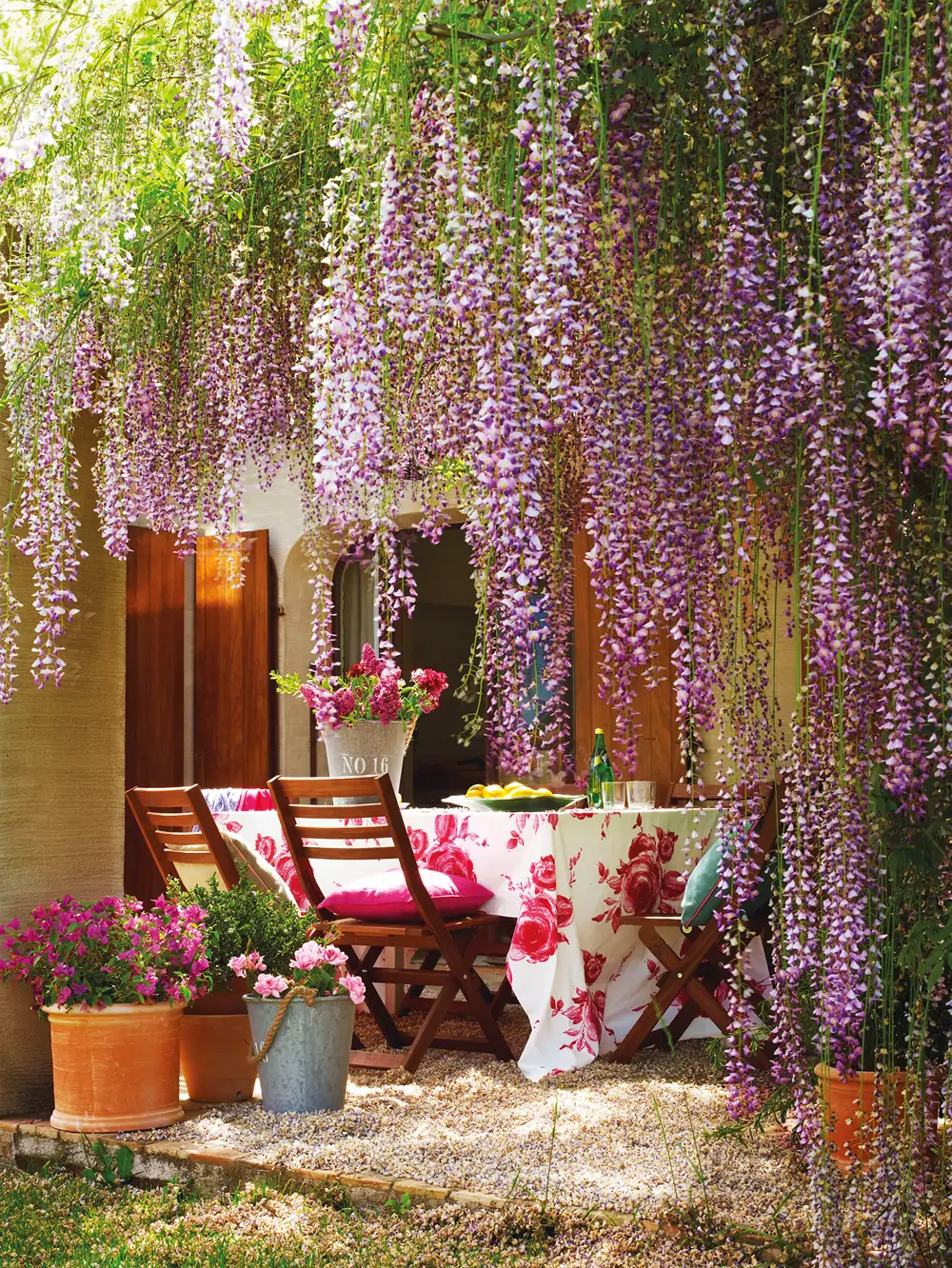 Comedor de exterior bajo pérgola cubierta por glicinia_00366360