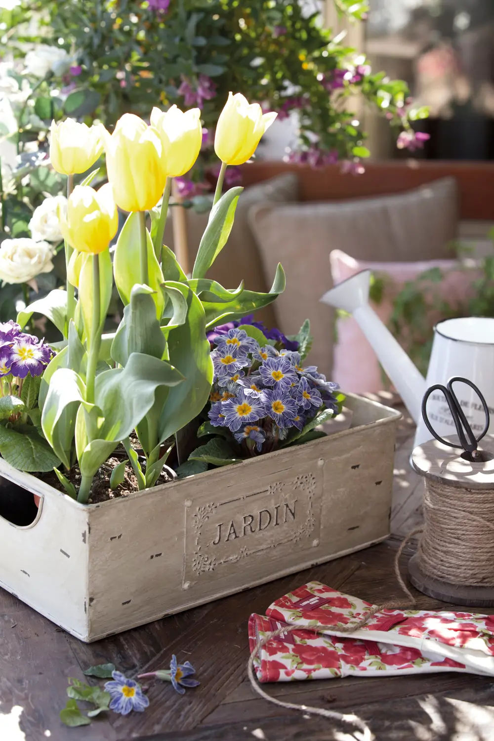 Tulipanes-00361124