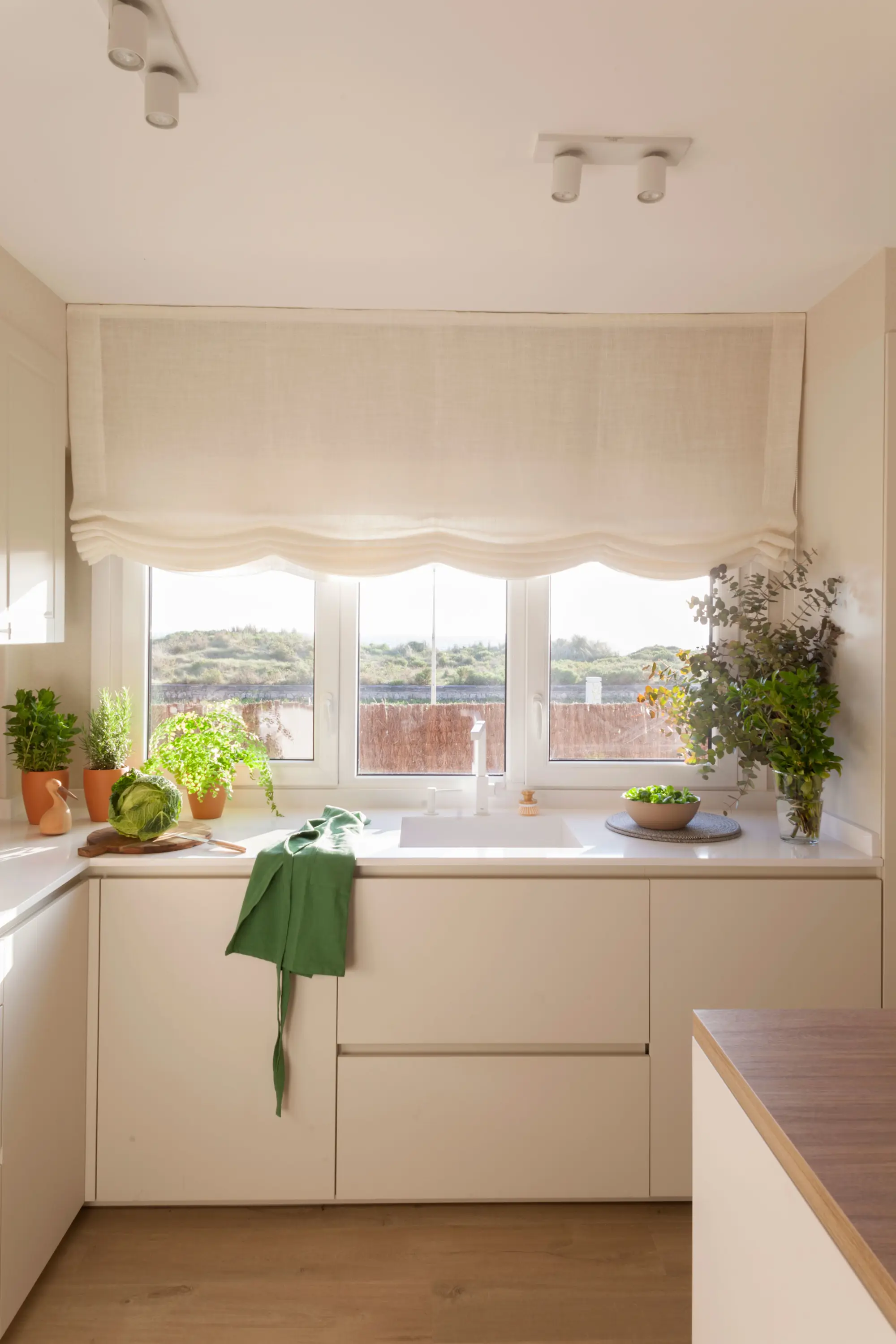 Cocina blanca con estores y plantas