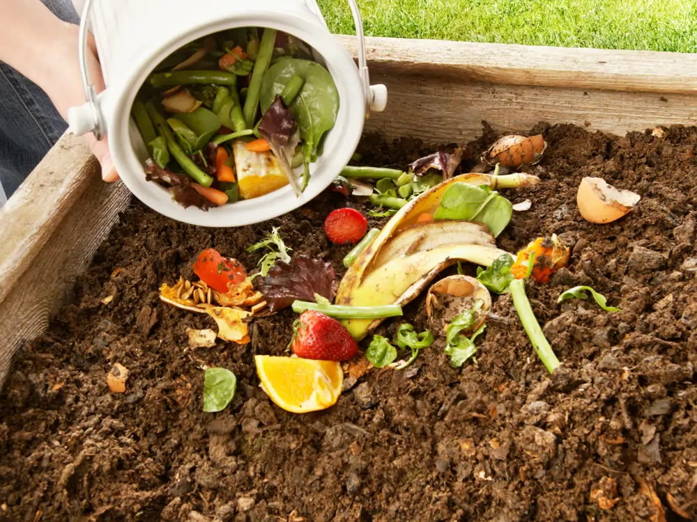 Compost