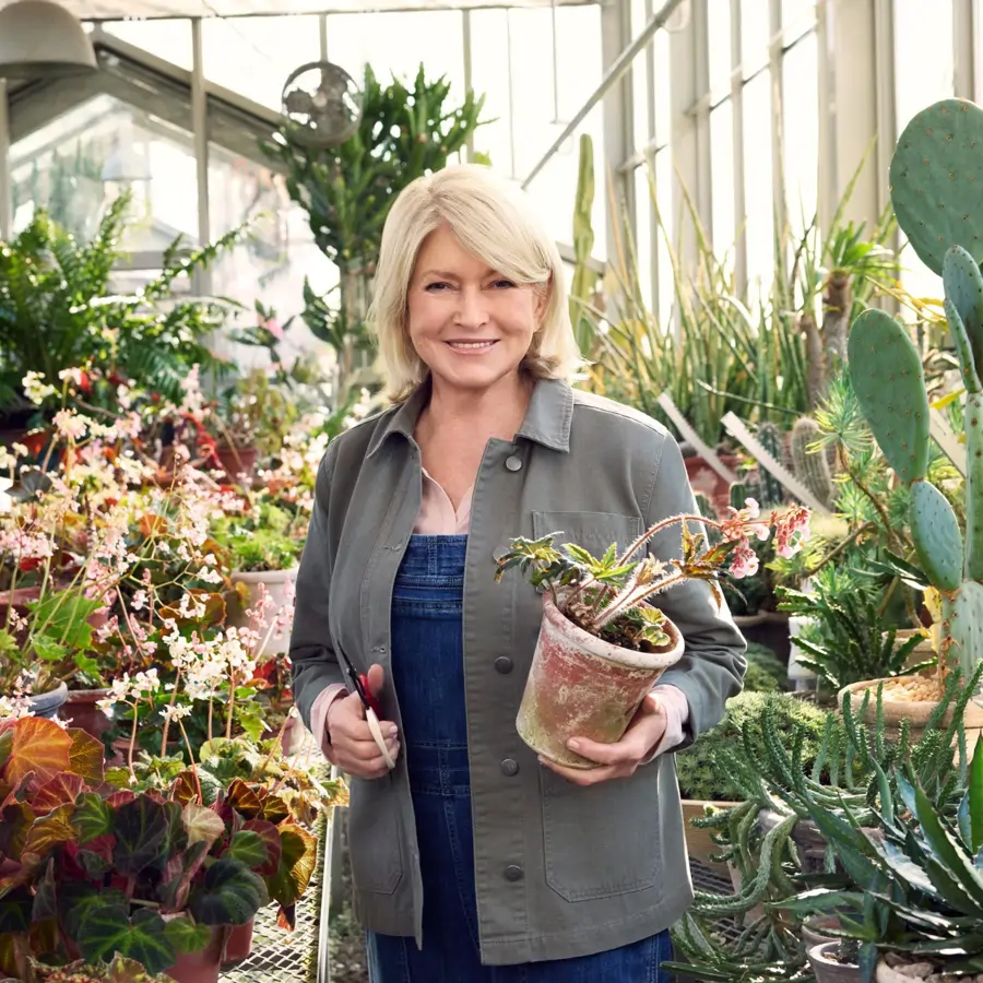 Martha Stewart