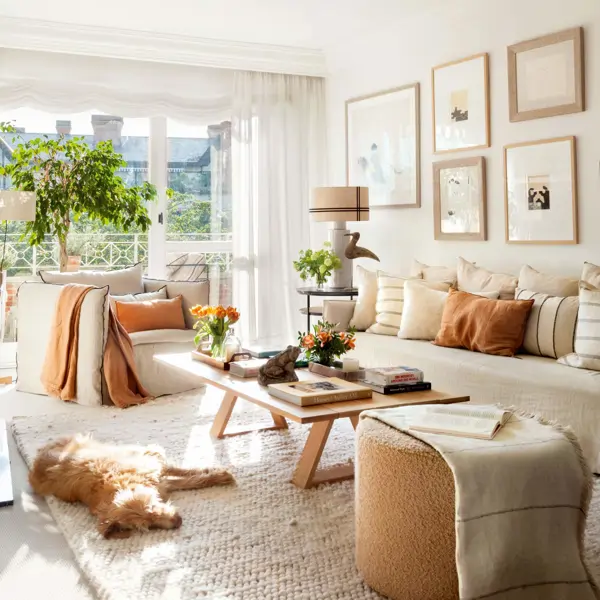 Montserrat Beltrán, experta en Feng Shui: "Debes pensar en las luces para mantener la energía en movimiento cuando te vas de casa" 