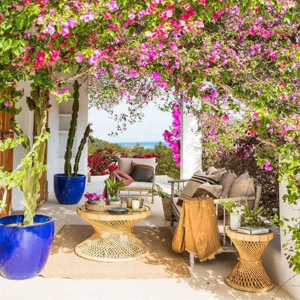 No solo Buganvilla: 10 plantas con flores que son ideales para alegrar el jardín y llenarlo de color