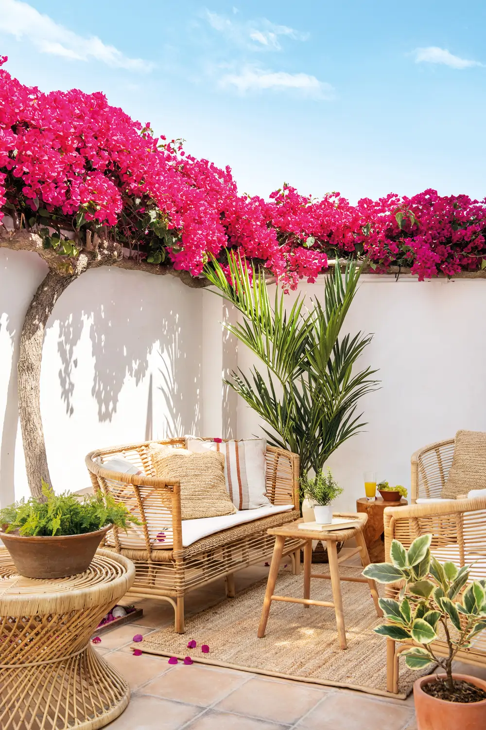 Terraza pequeña con buganvilla y muebles de mimbre