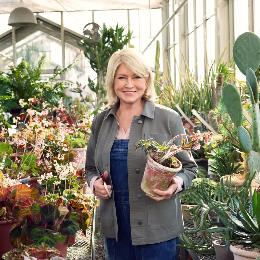 Martha Stewart