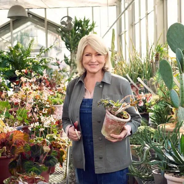 Martha Stewart, experta en jardín sobre plantar azaleas: "Es importante comprender los ciclos de cada planta para predecir cuánto tiempo tardará en florecer el jardín de casa"