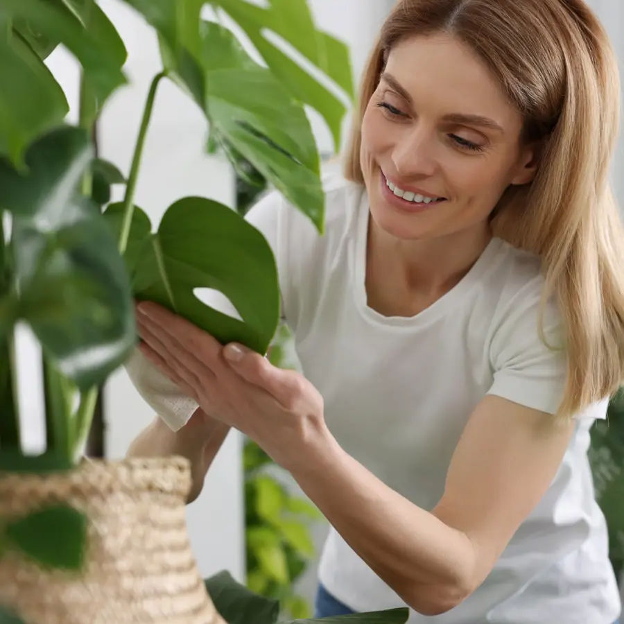 Mujer con plantas en su casa