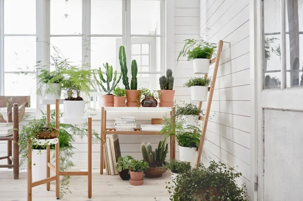 Plantas IKEA