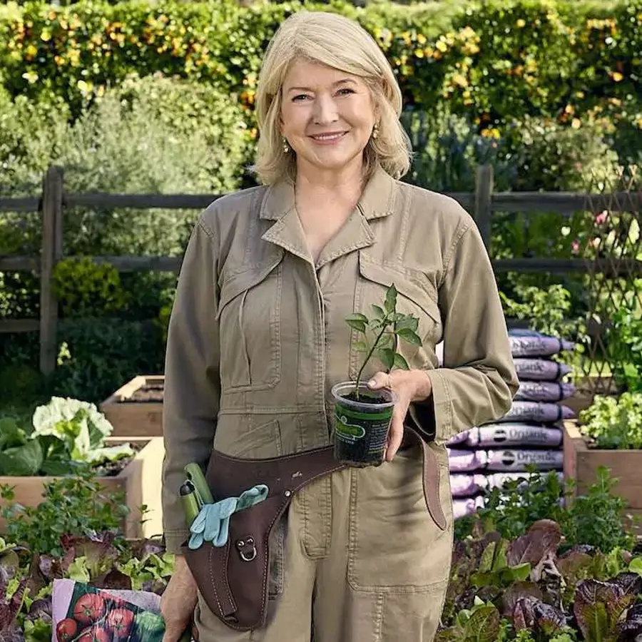Martha Stewart