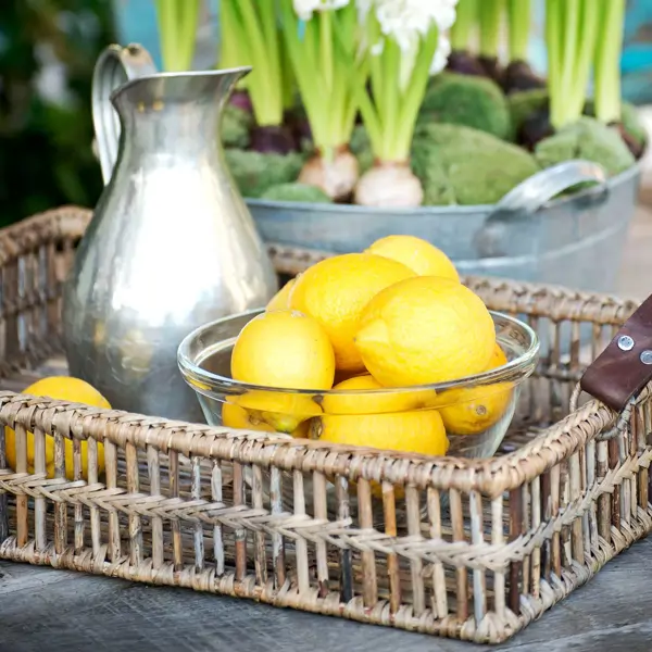 Maite Pérez, experta en Feng Shui: “Con limón y canela puedes eliminar el olor a pescado de la cocina y dejar que la energía fluya”