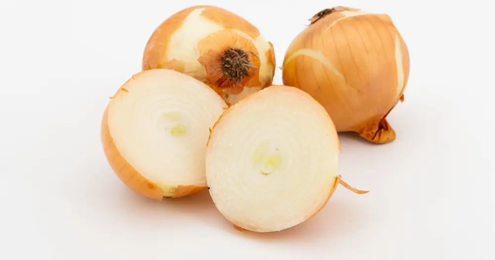 Cebolla