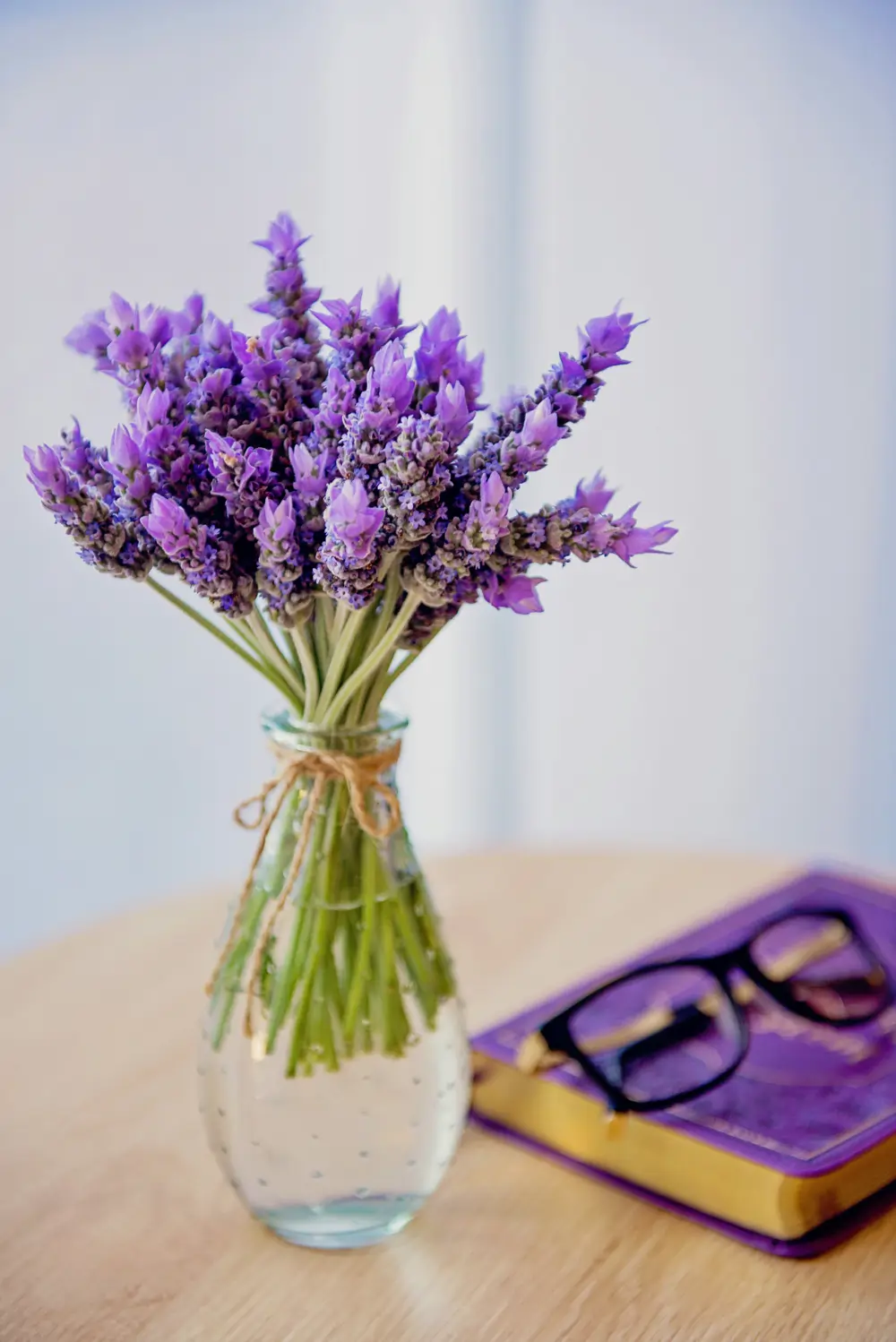 Lavanda 