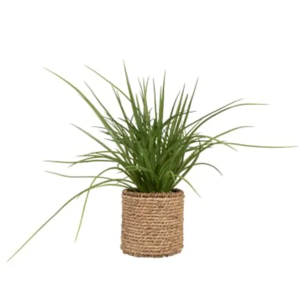 Vegetal Bay