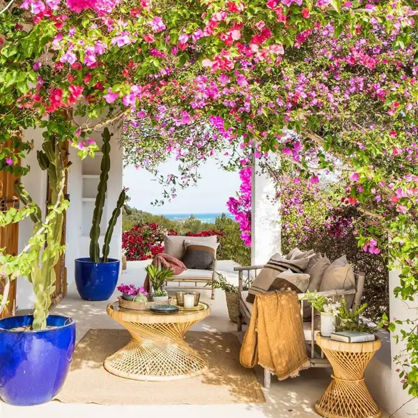 Las Buganvillas son bonitas, pero estas 10 flores llenas de color son ideales para alegrar tu casa este verano