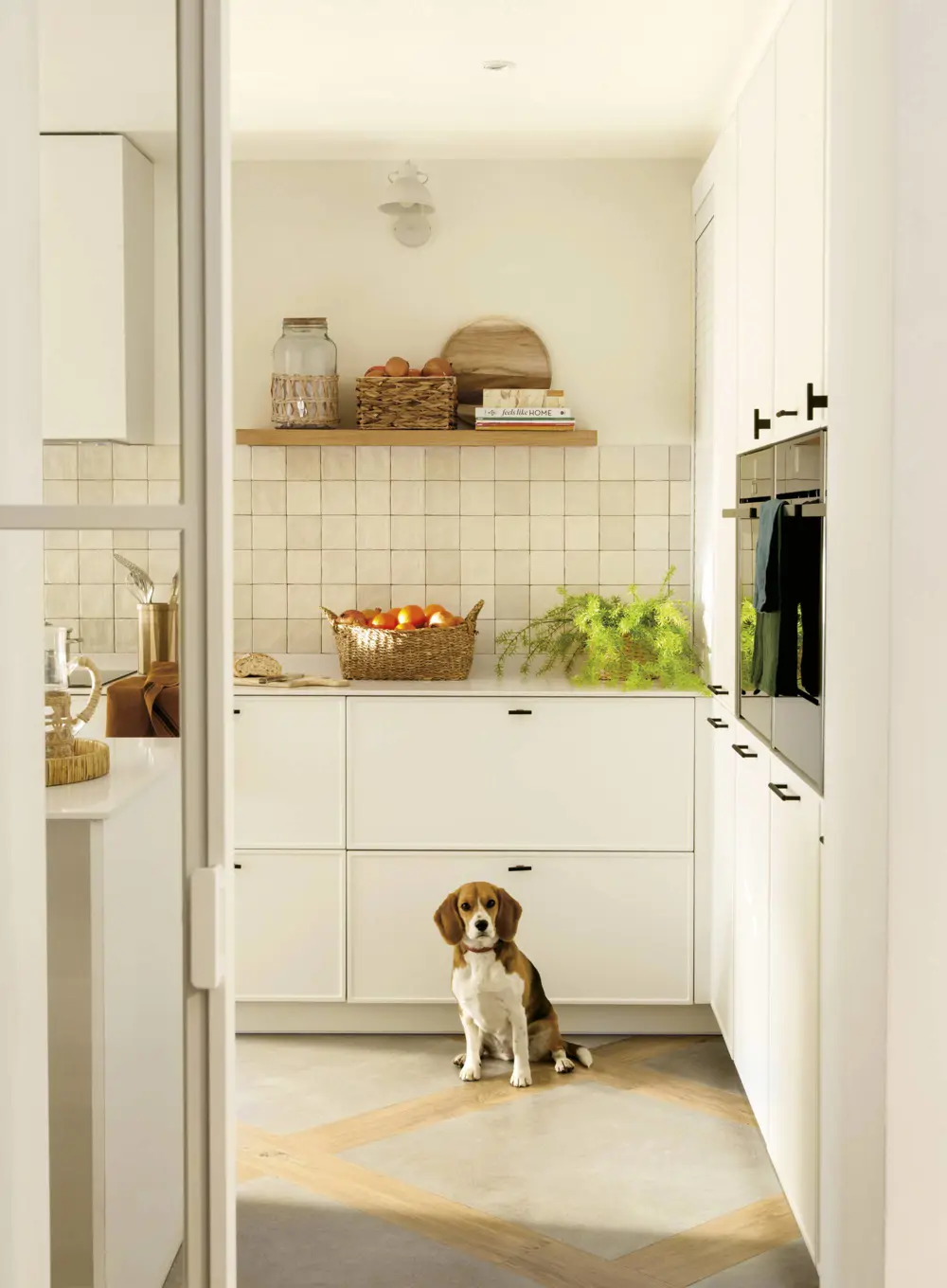 cocina blanca con antepecho de azulejos y perro 86dcd325 00553732 221114150913