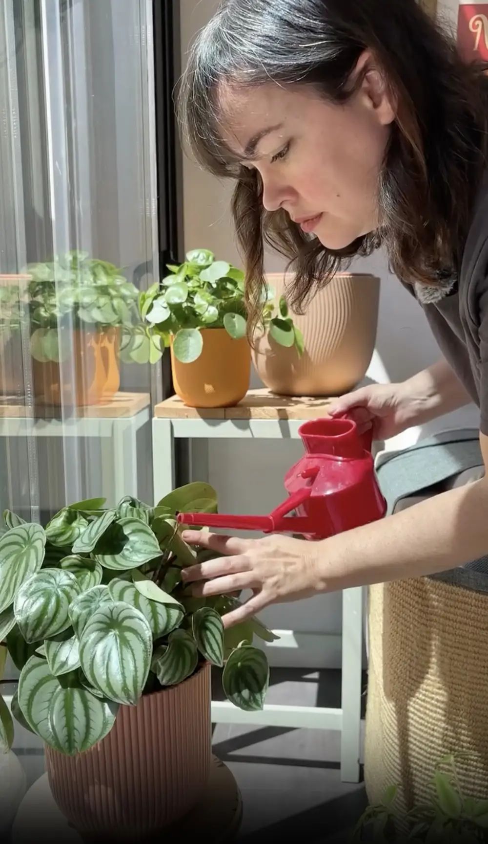 No tengas miedo a regar tus plantas con una buena cantidad de agua