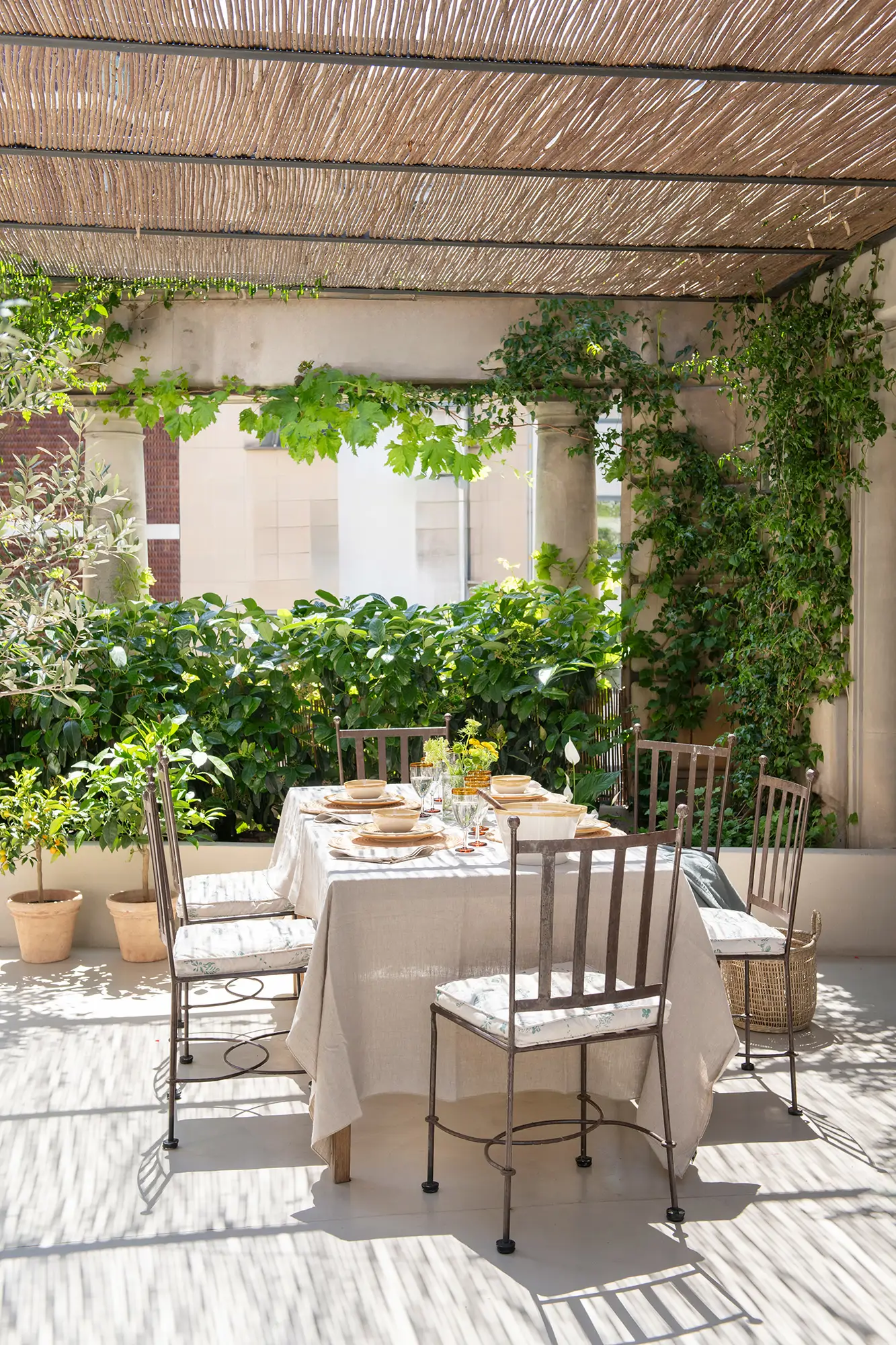 Terraza