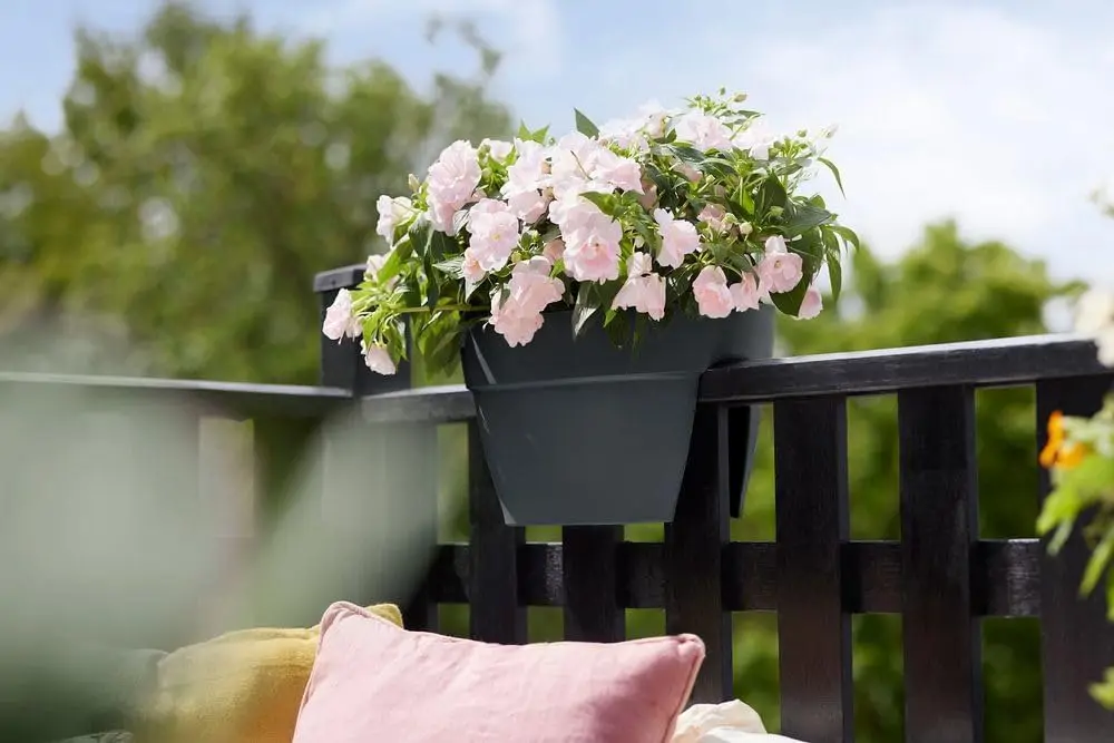 Puentes de flores