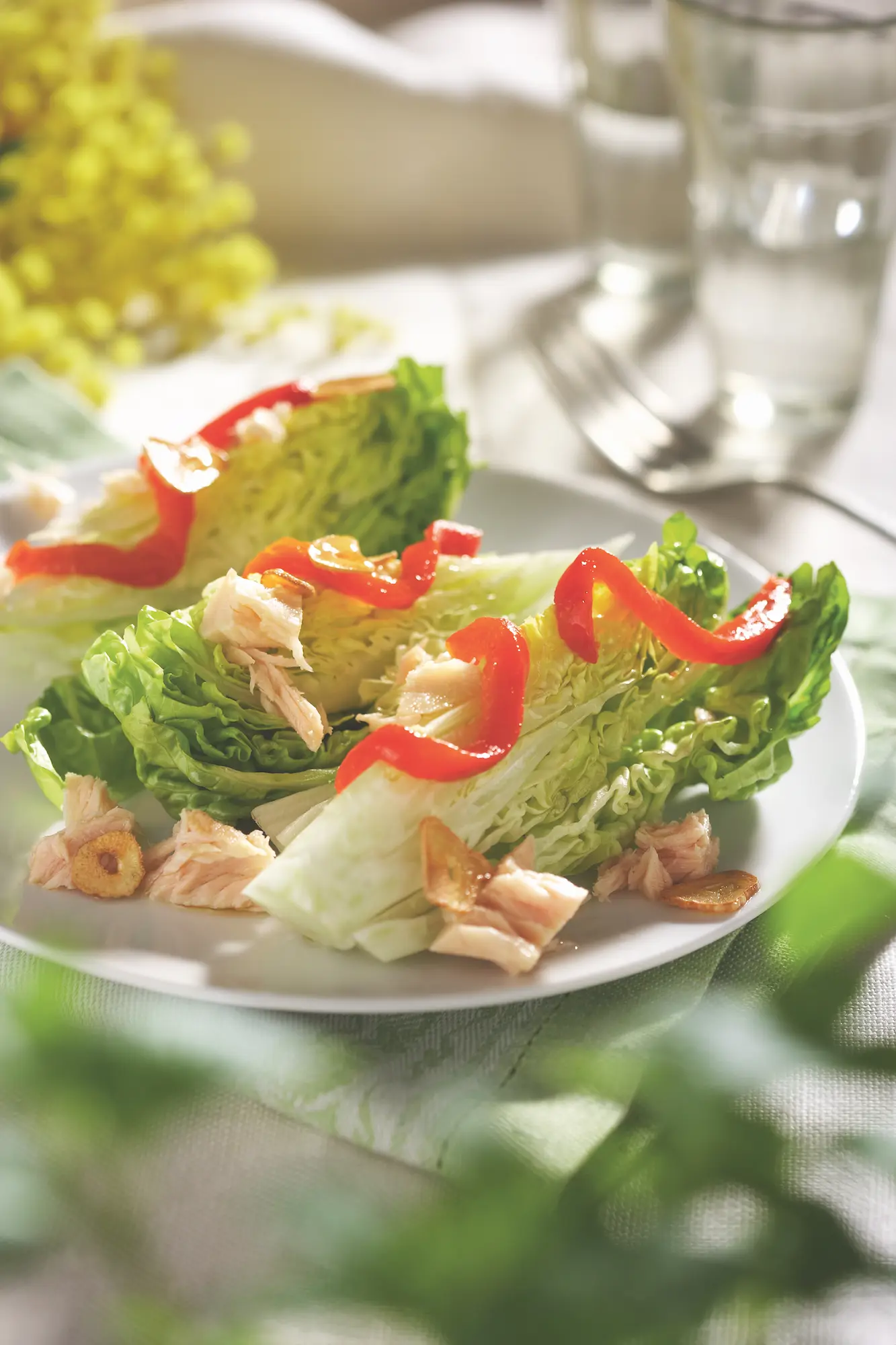 recetas fáciles y rápidas Cogollos con ajo frito, atu´n y pimiento morro´n