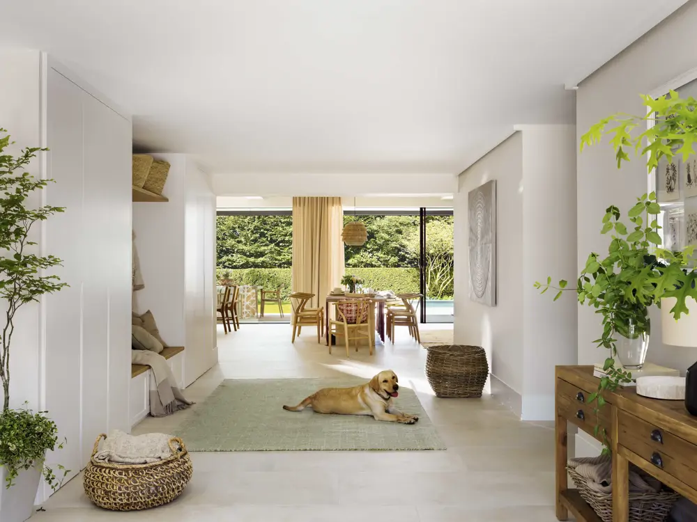 00560003 salon perro recibidor golden suelo
