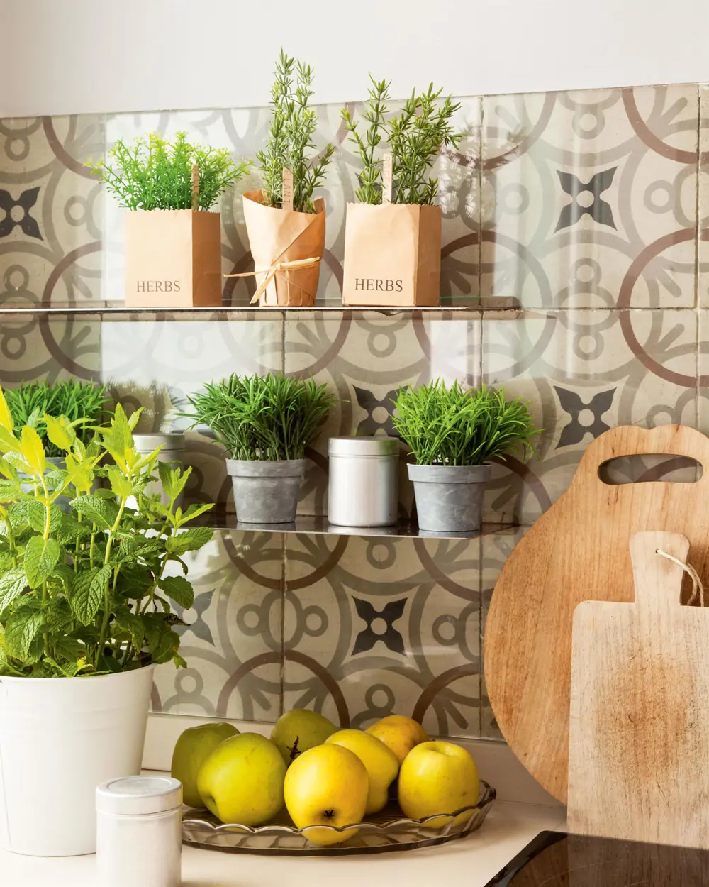 plantas aromaticas en la cocina_00407766