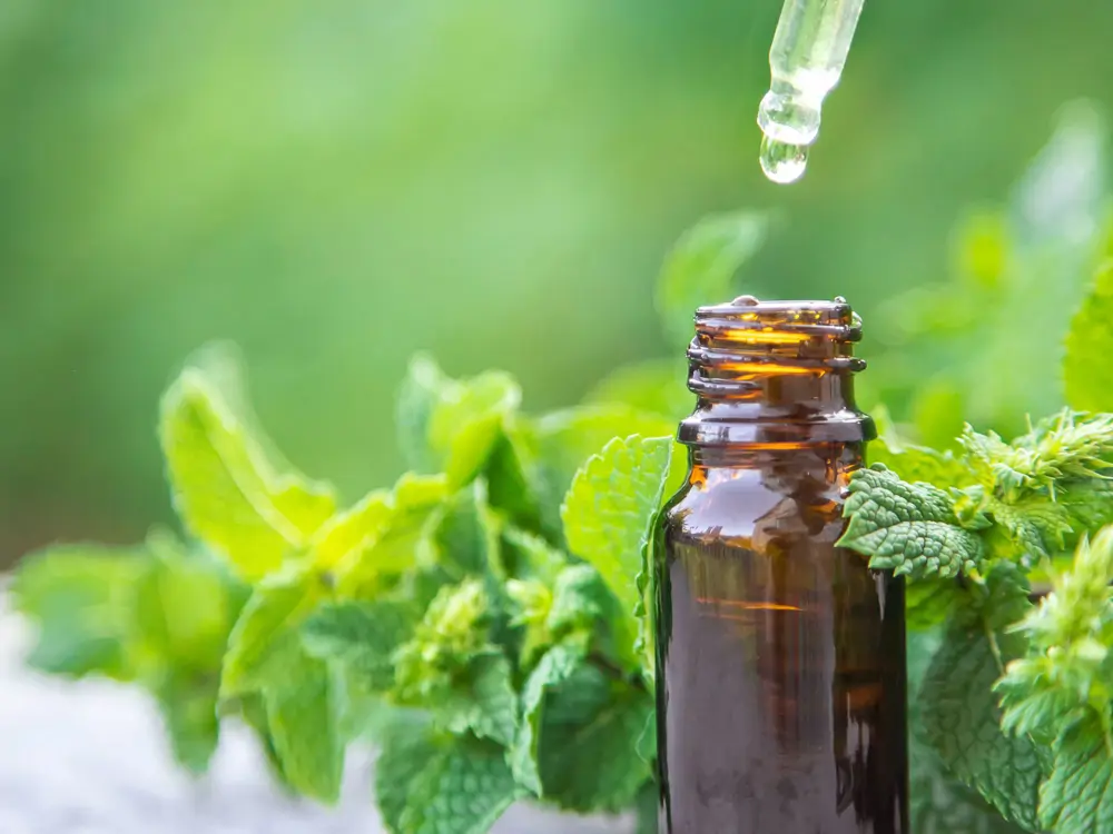 Aceite esencial de menta