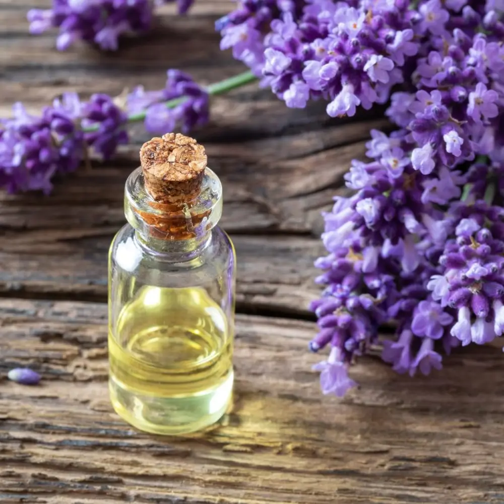Aceite esencial de lavanda