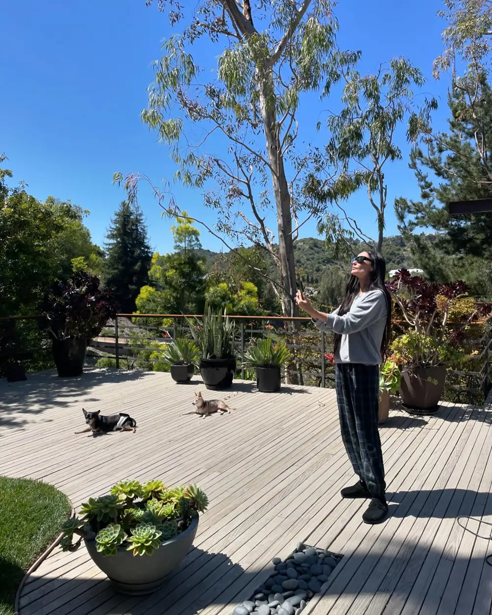 Demi Moore en su casa con sus perros