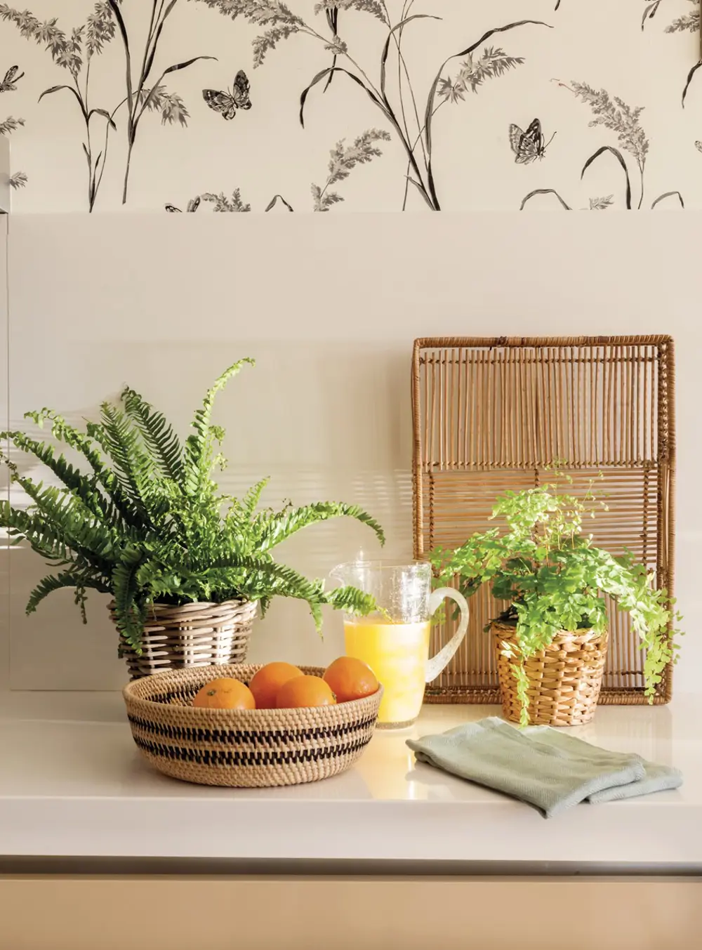 Plantas y naranjas