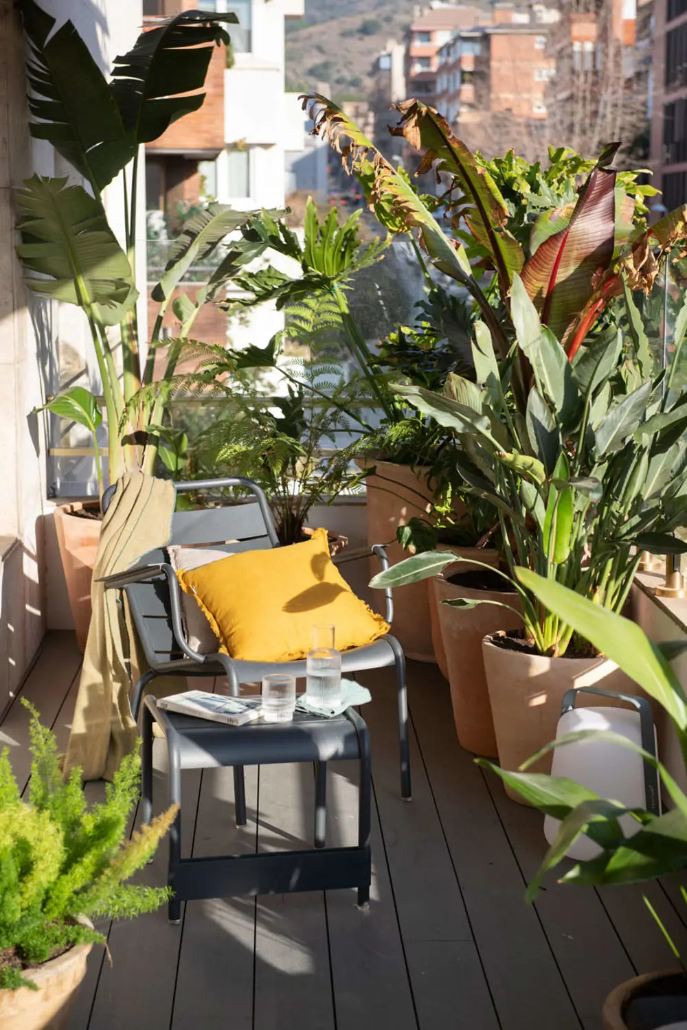 Ve poniendo a punto tu balcón con estas plantas para la llegada de la primavera