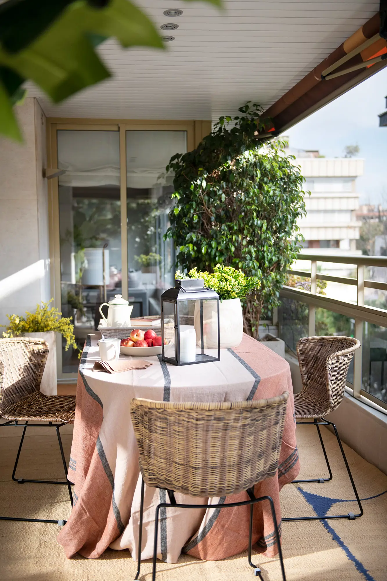comedor exterior 00570273