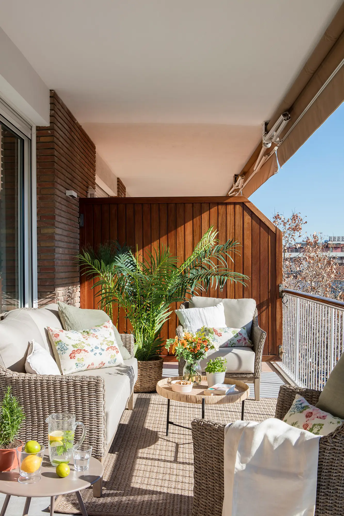 terraza cubierta 00571162