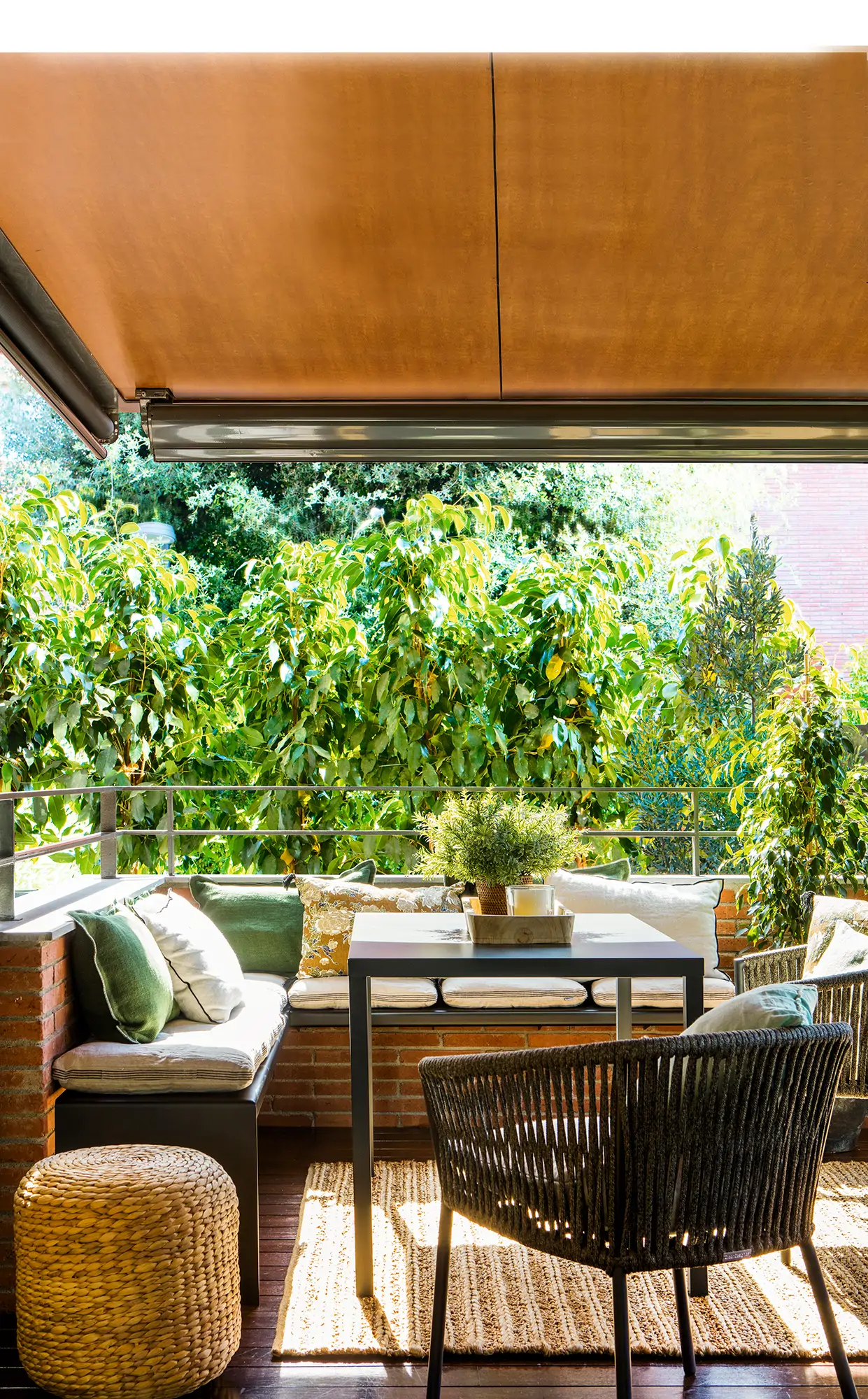 terraza techada 00558562