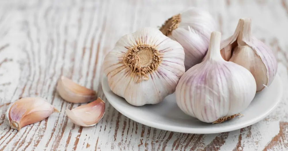 Las pieles de los ajos y las cebollas son perfectas para ahuyentar plagas como pulgones, hormigas o arañitas