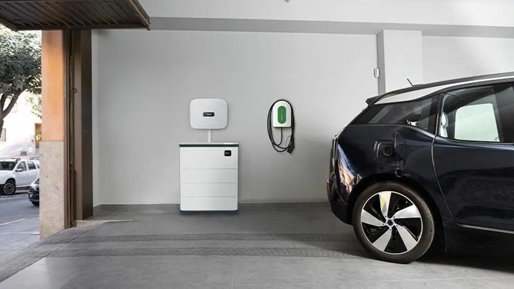 Carga de vehículo eléctrico 