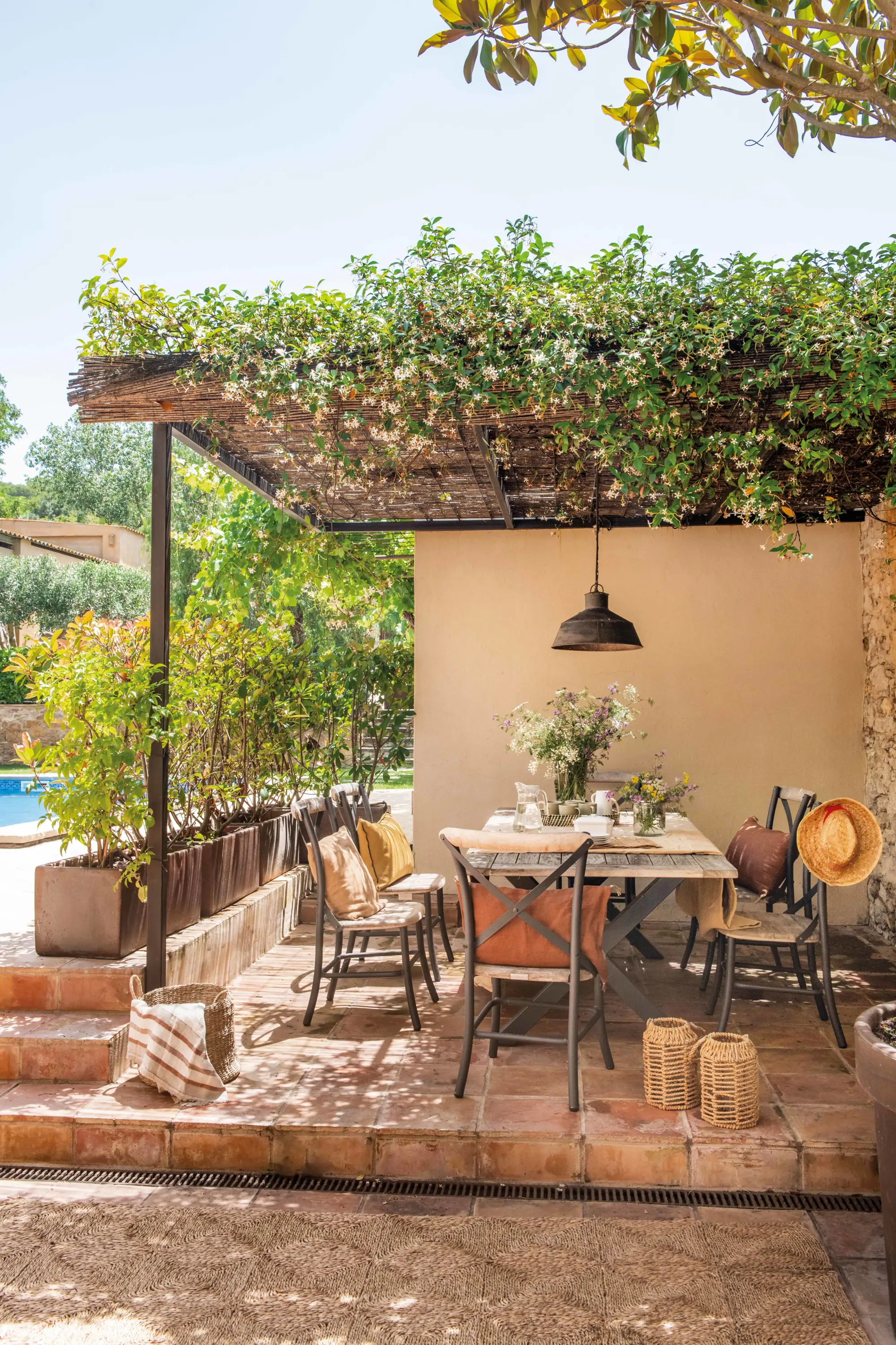 00594200 porche pérgola jazmín planta trepadora sombra exterior 