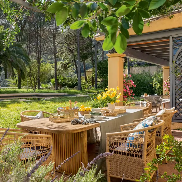 Joseph Clark, experto en jardinería: “Esta planta es comestible, bonita, fácil de cuidar y protege al resto del huerto”