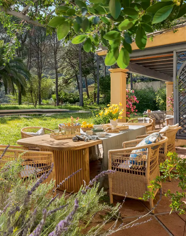 Joseph Clark, experto en jardinería: “Esta planta es comestible, bonita, fácil de cuidar y protege al resto del huerto”