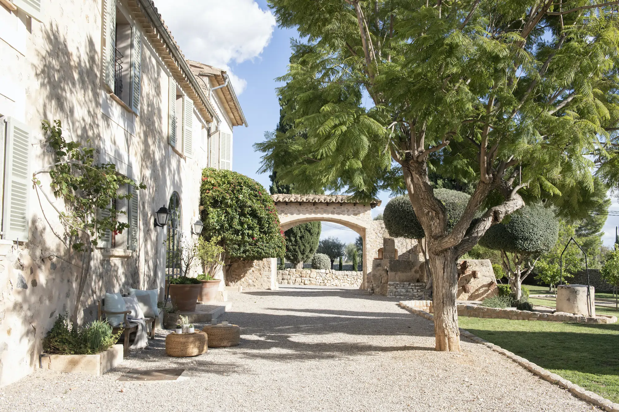 jardin