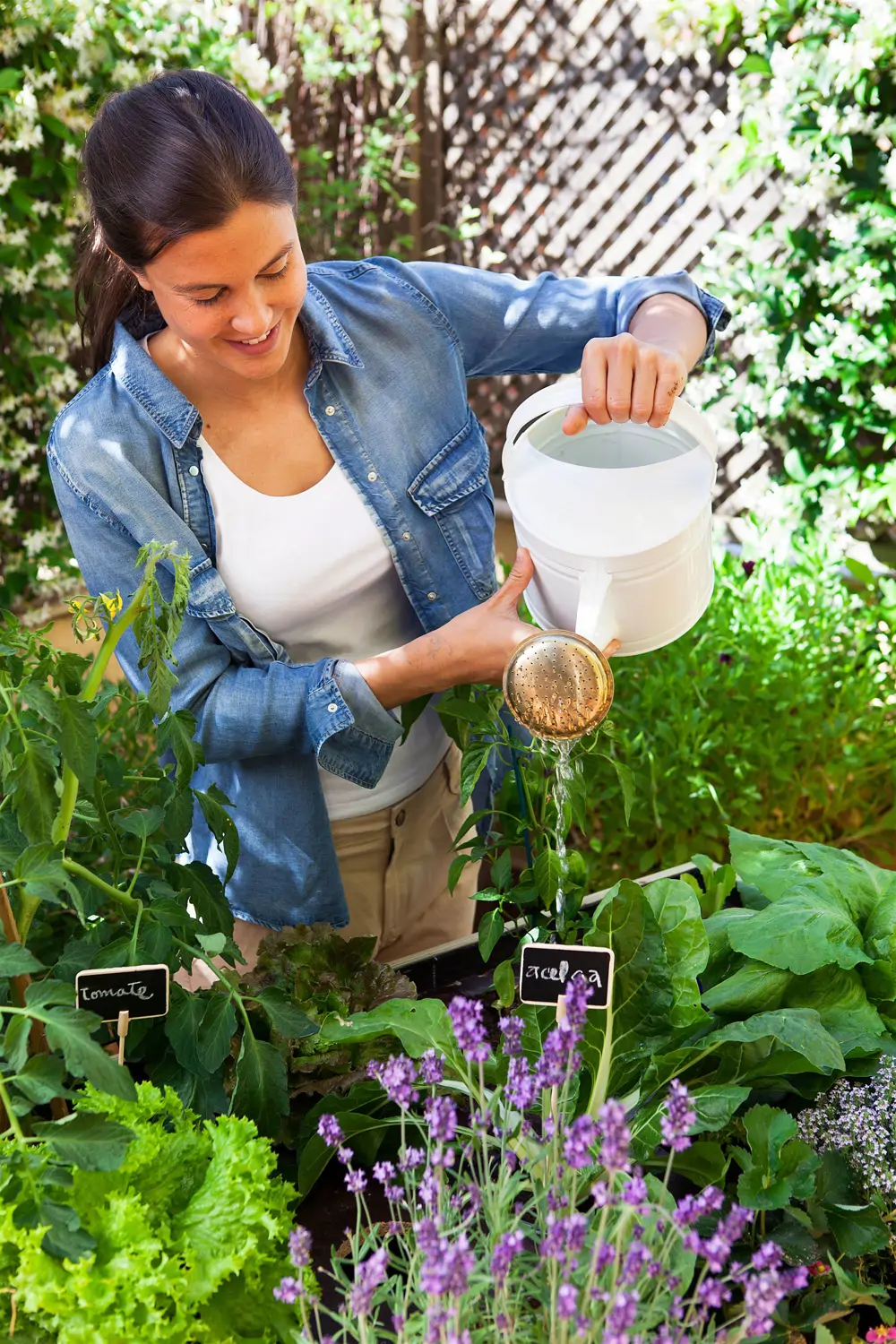 Si regamos bien temprano por la mañana, las raíces de las plantas estarán bien hidratadas para soportar mejor las altas temperaturas de las horas centrales del día