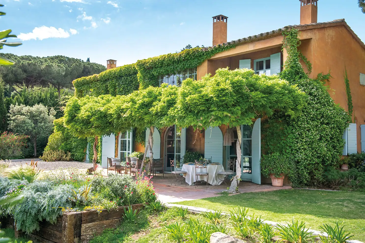 Jardín con plantas.  