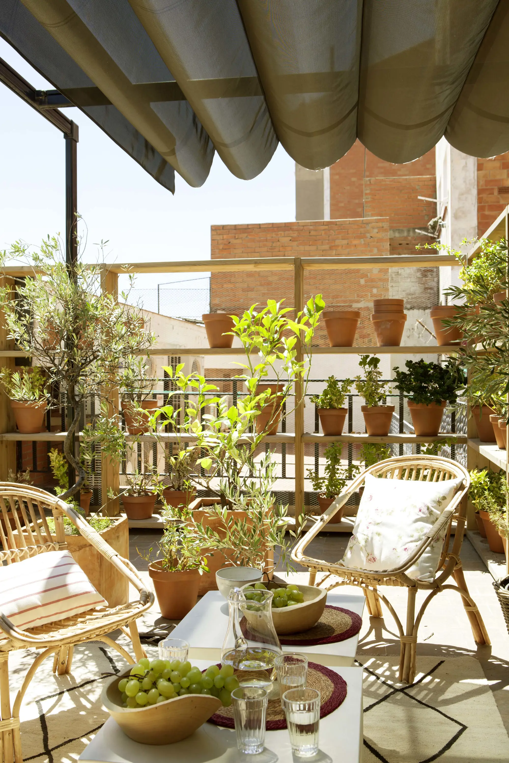Balcón con plantas 389596
