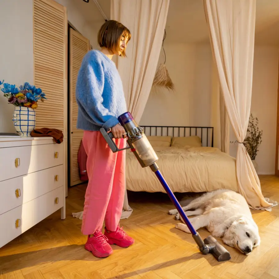 La aspiradora Dyson ideal para hogares con mascota (Cuadrada)